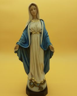 MADONNA MIRACOLOSA H 40